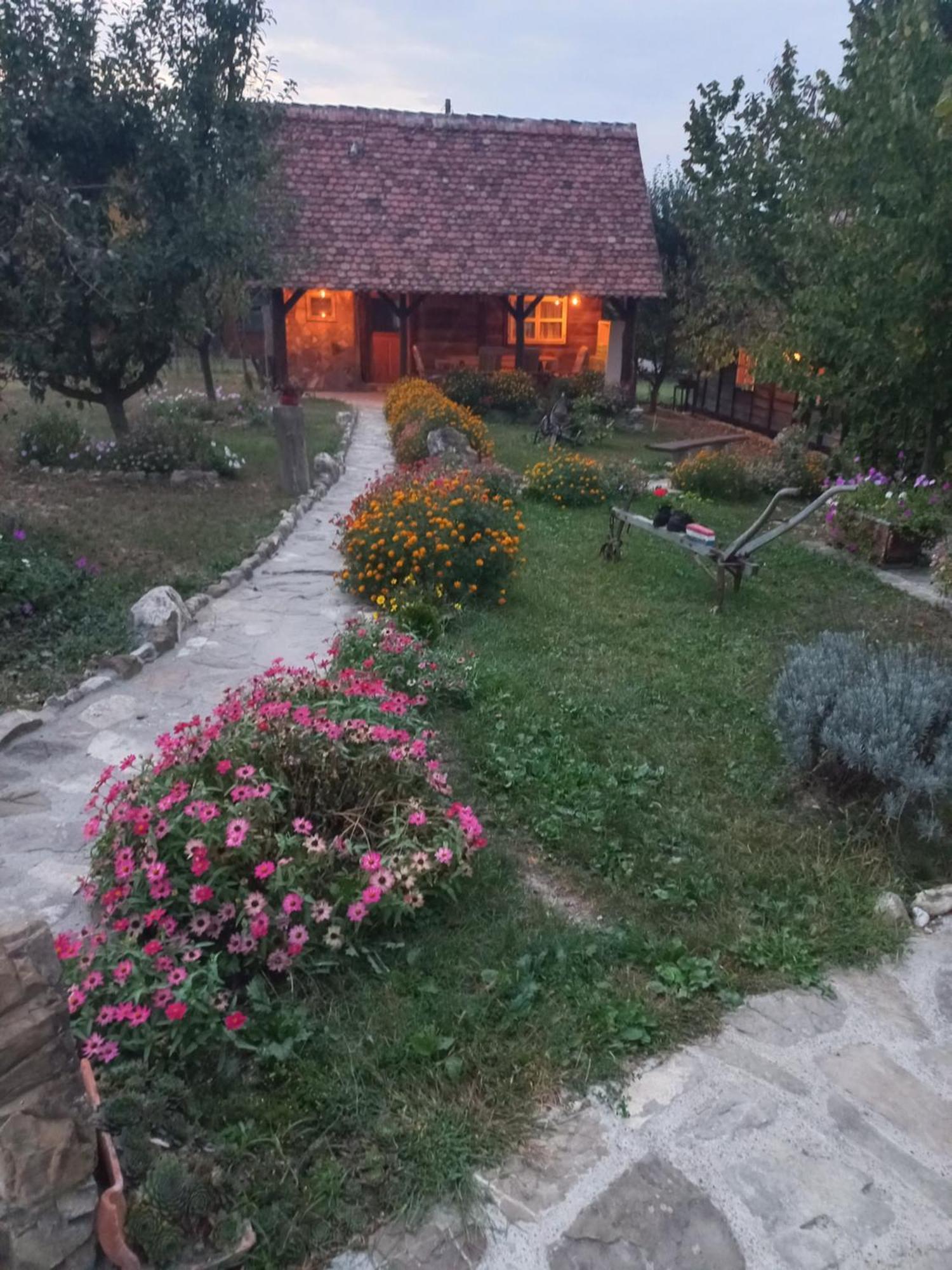 Magaze De Luxe Villa Gradacac Екстериор снимка